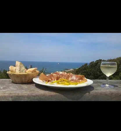 Ambassade De Bourgogne Biarritz